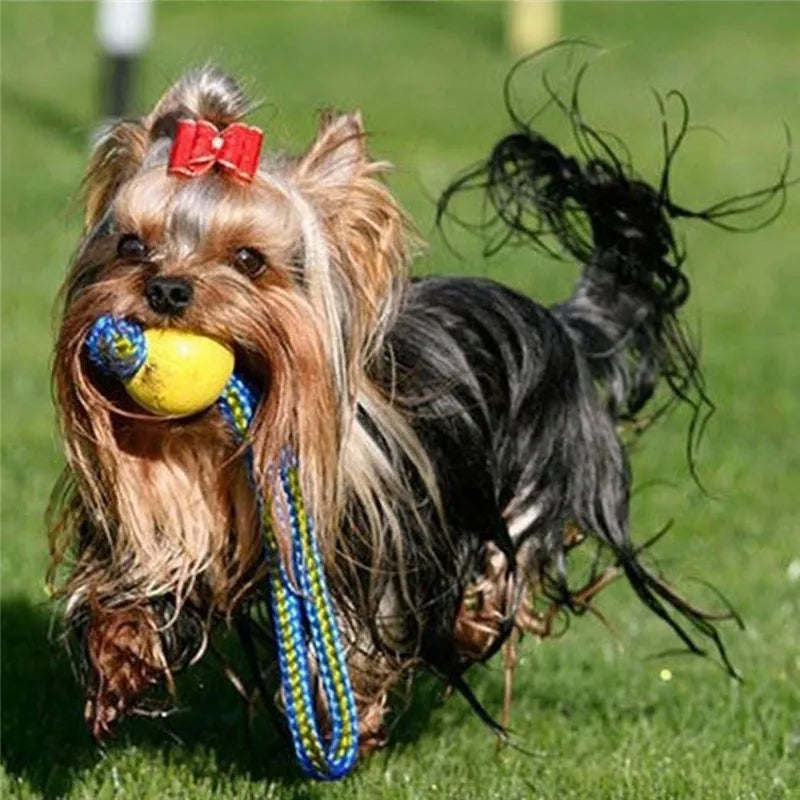 Durable and Fun Indestructible Rubber Training Ball for Dogs - Perfect for Chewing and Fetching with Rope!