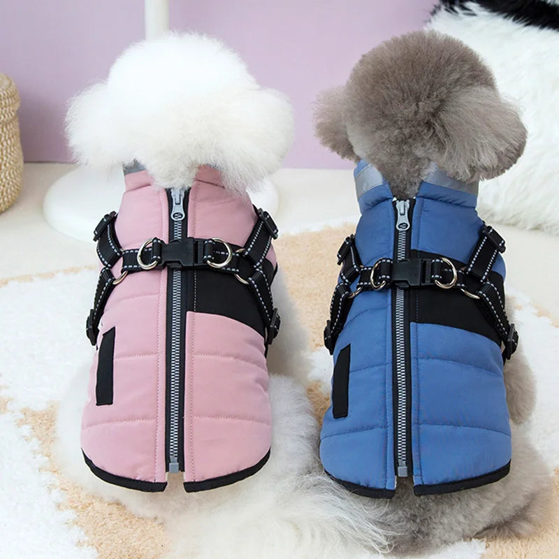 Stylish and Cozy Winter Dog Jacket with Reflective D-Ring - Perfect for Small to Medium Dogs!