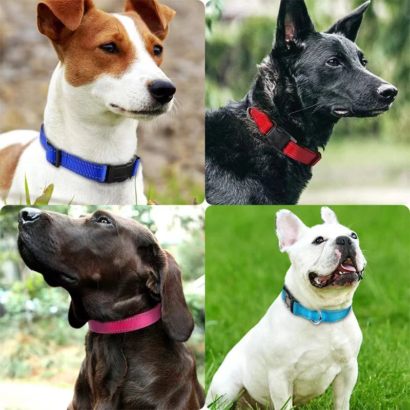 Ultimate Reflective Dog Collar for Medium to Large Dogs - Soft Neoprene Padded, Durable Nylon, and Adjustable for Comfort and Safety