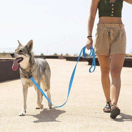 Durable Nylon Dog Training Leashes - Perfect for All Breeds and Sizes, Available in Multiple Lengths for Ultimate Control