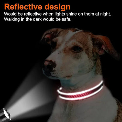 Ultimate Reflective Dog Collar for Medium to Large Dogs - Soft Neoprene Padded, Durable Nylon, and Adjustable for Comfort and Safety