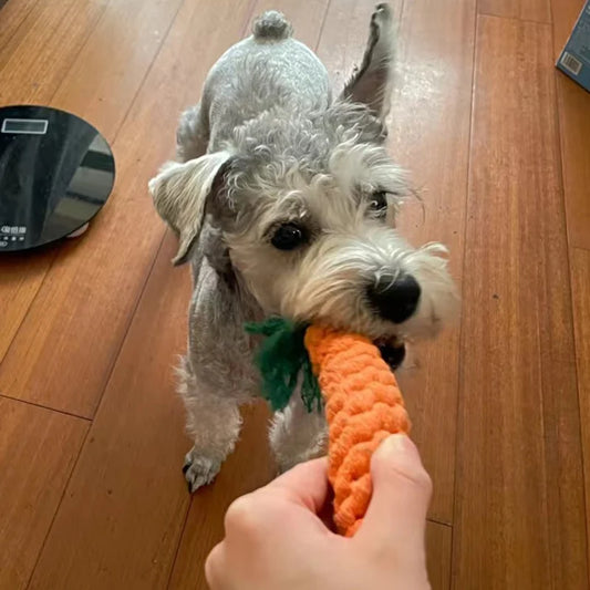 Durable Bite Resistant Dog Chew Toy - Perfect for Small Dogs and Puppies, Ideal for Teeth Cleaning and Playtime